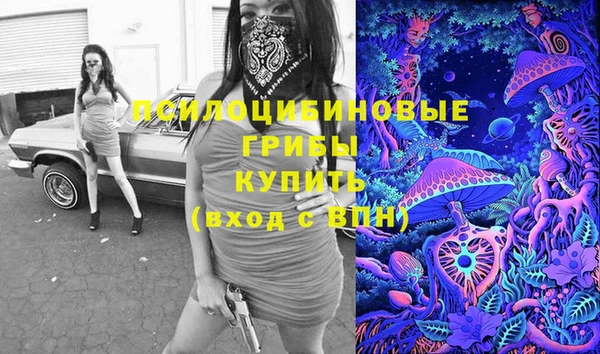 хмурый Алзамай