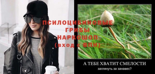 гидра Аркадак
