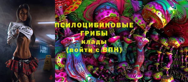 гидра Аркадак