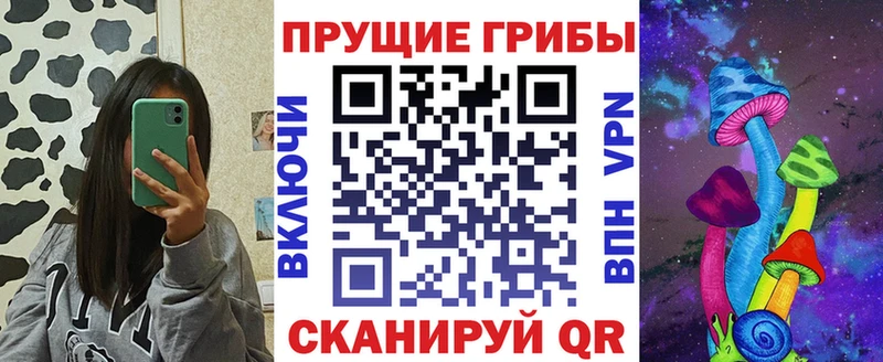 hydra зеркало  Красногорск  Галлюциногенные грибы Cubensis 